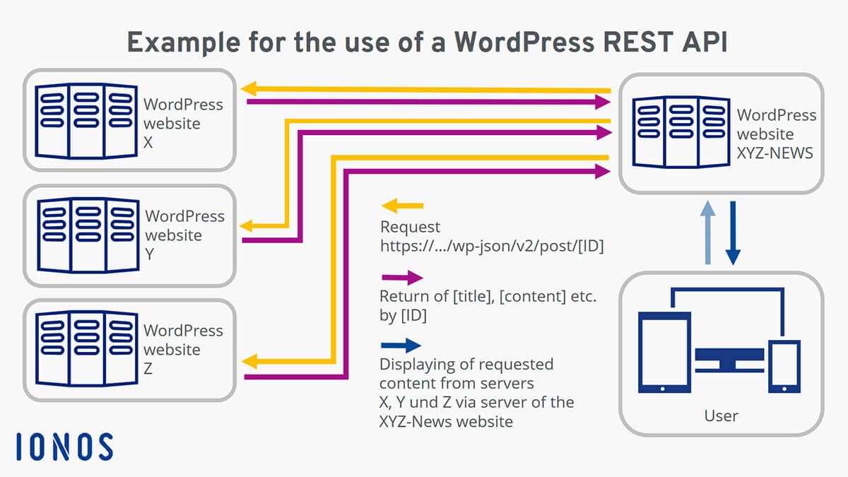 WordPress REST API quick access to WordPress content IONOS