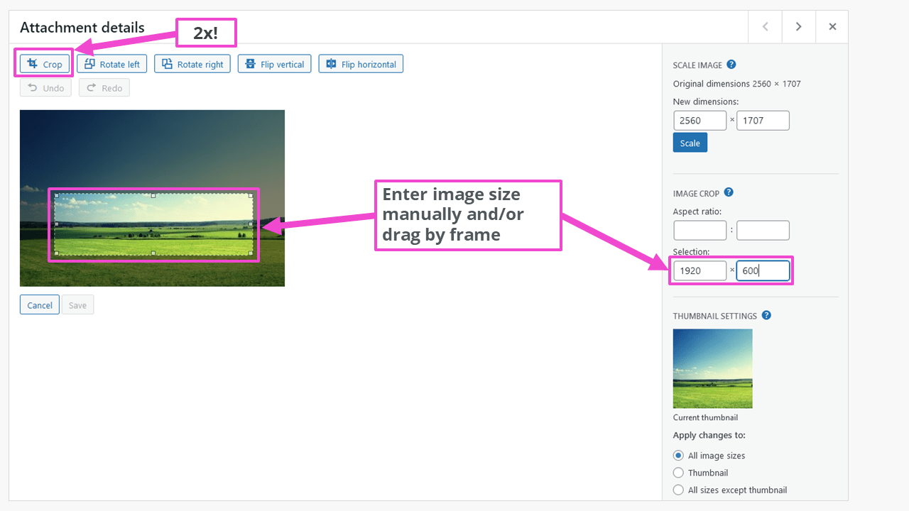 How to set the best WordPress image size IONOS UK