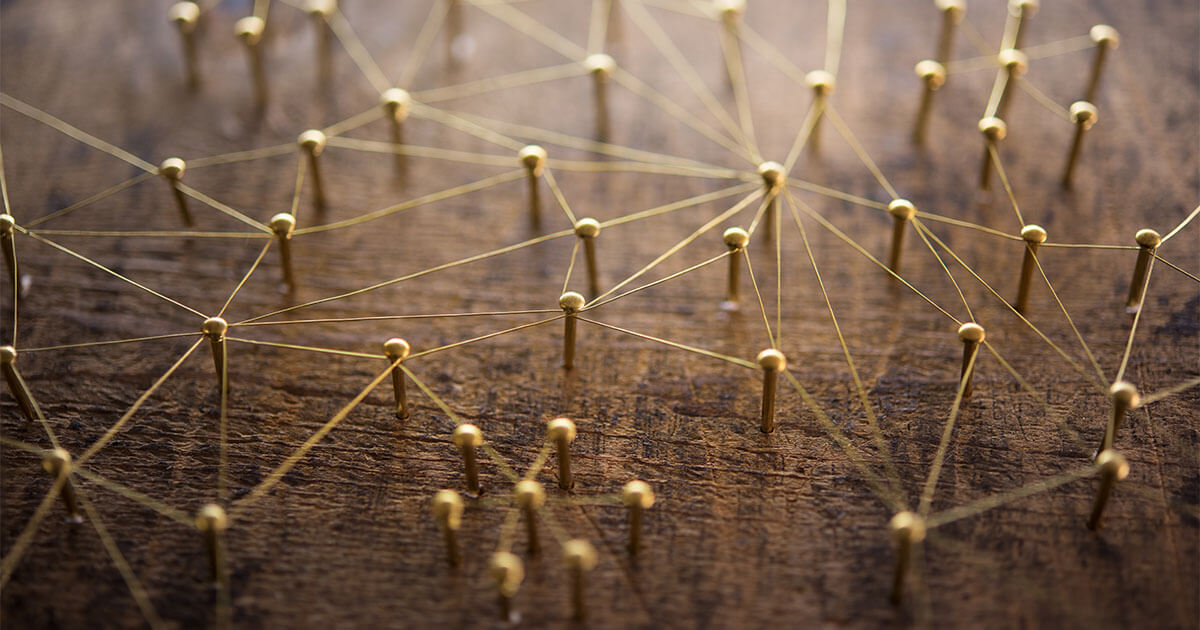 What is a web crawler how the data spiders work IONOS UK