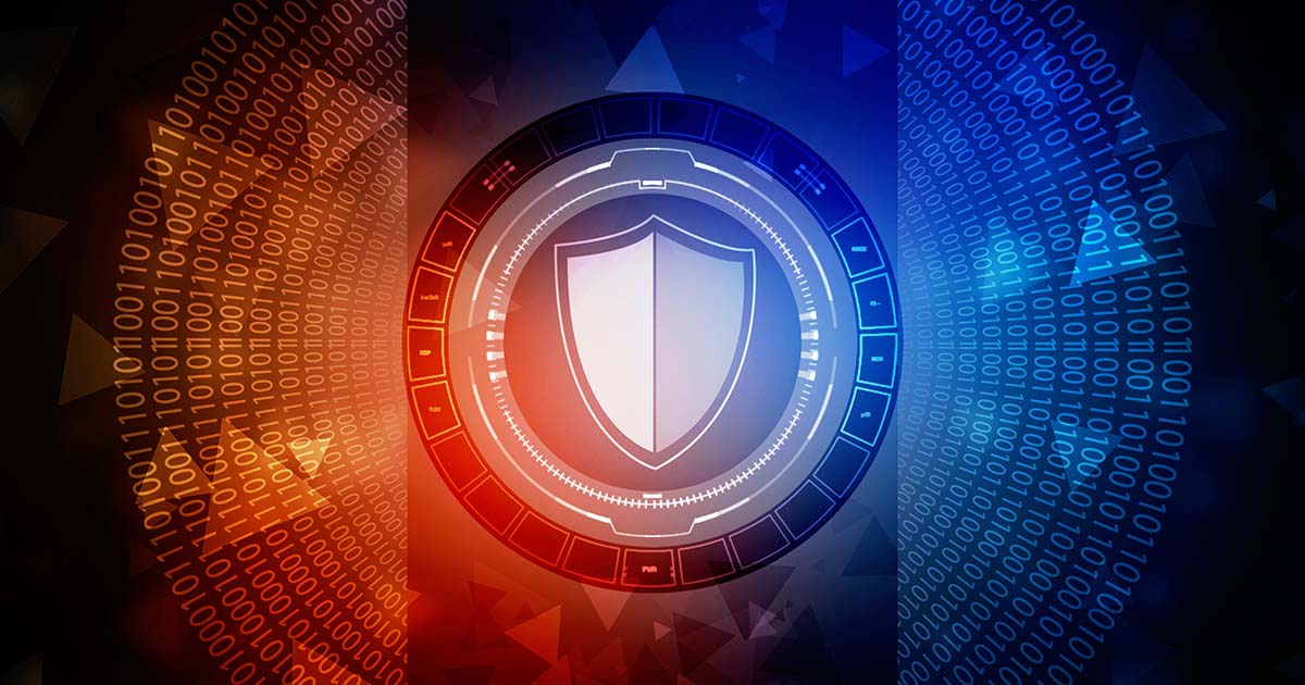 What is the EUUS Privacy Shield? IONOS