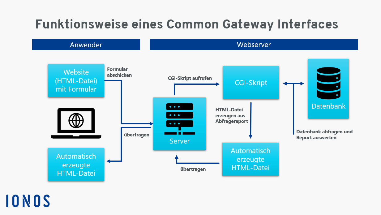 Was ist das CGI Gateway Interface)? Erklärung & Funktion IONOS