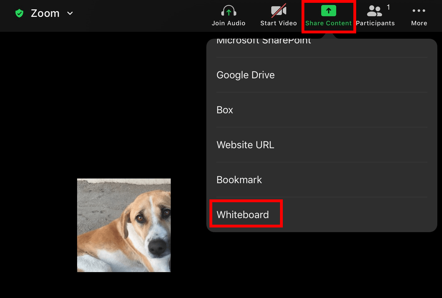 Zoom Whiteboard cómo trabajar con la pizarra con otros participantes