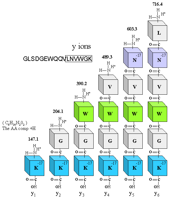 De Novo Peptide Sequencing