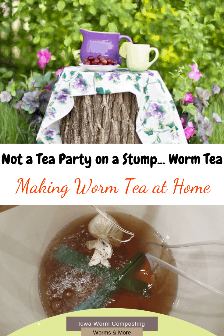 Making Worm Tea at Home Iowa Worm Composting
