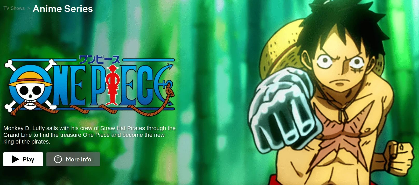 Top 156 + One piece anime on netflix