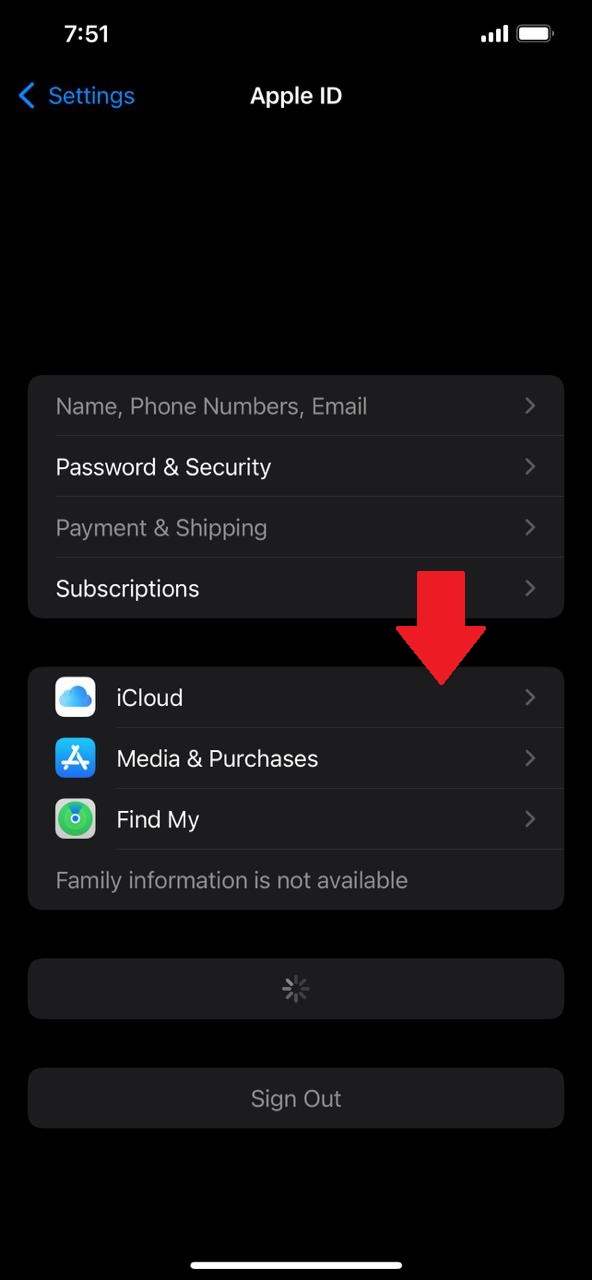 How to Sync Your iPhone to iPad? LaptrinhX / News