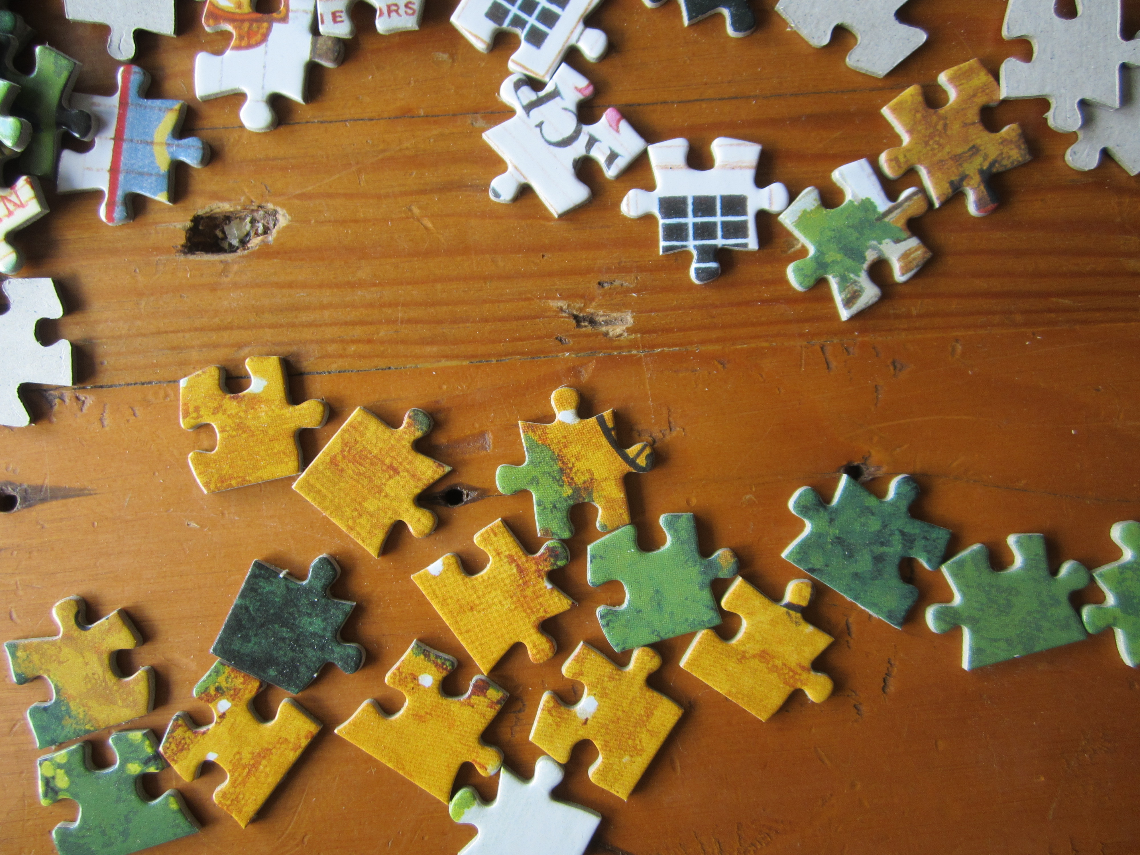 Your dream is like a dumped box of 1,000 puzzle pieces PAMELA FERNUIK