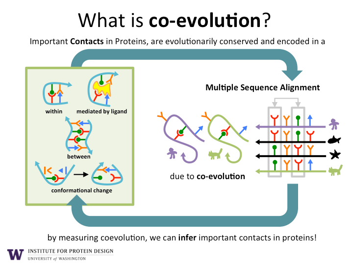 Protein Structure Institute for Protein Design