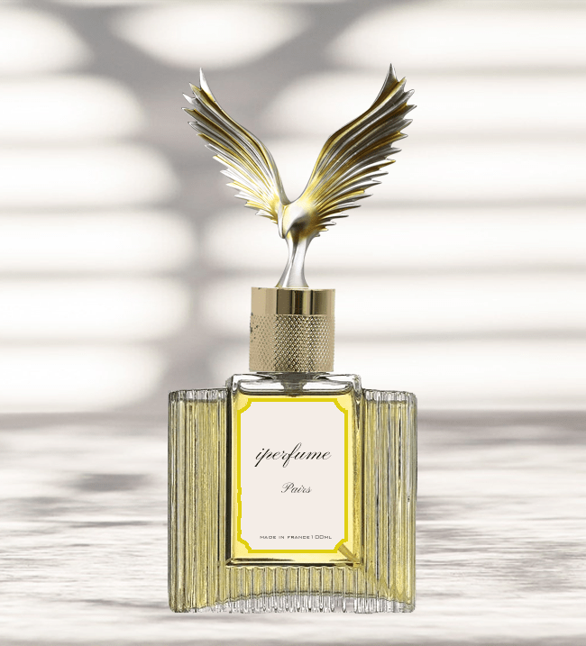 Fragrance Bottle with Cap Design — China Customized Perfume Bottles Caps Boxes iPerfume Packaging