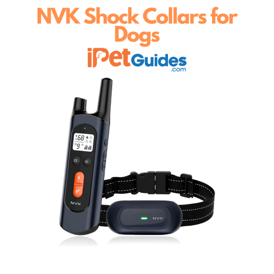 10 Best Dog Training Collars (Reviews & Buyer's Guide 2023)