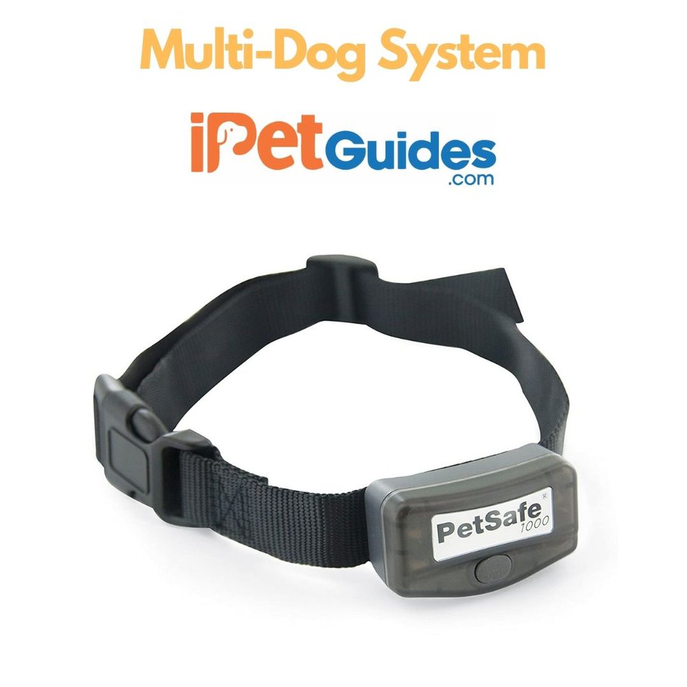 PetSafe Elite Big Dog Remote Trainer Review Worth Buying?