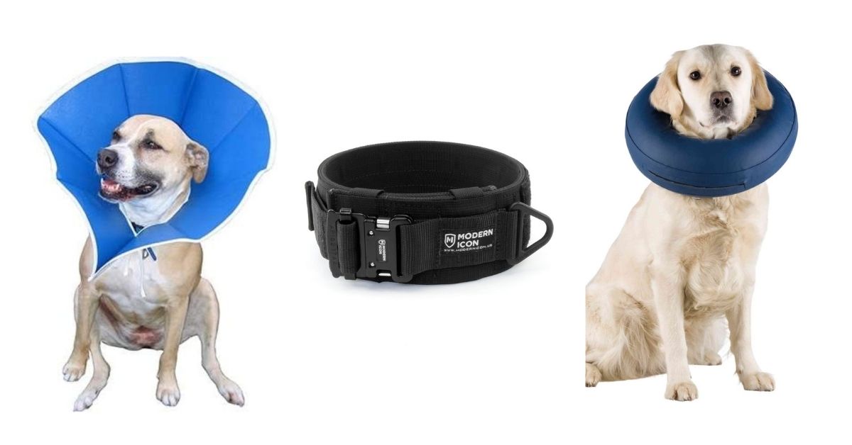 How Long to Keep ECollar on Dog After Spaying or Neutering?