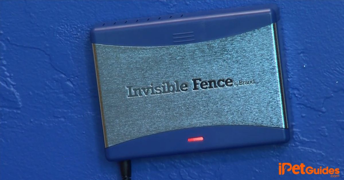 How to Troubleshoot an Invisible Fence? StepByStep Guide
