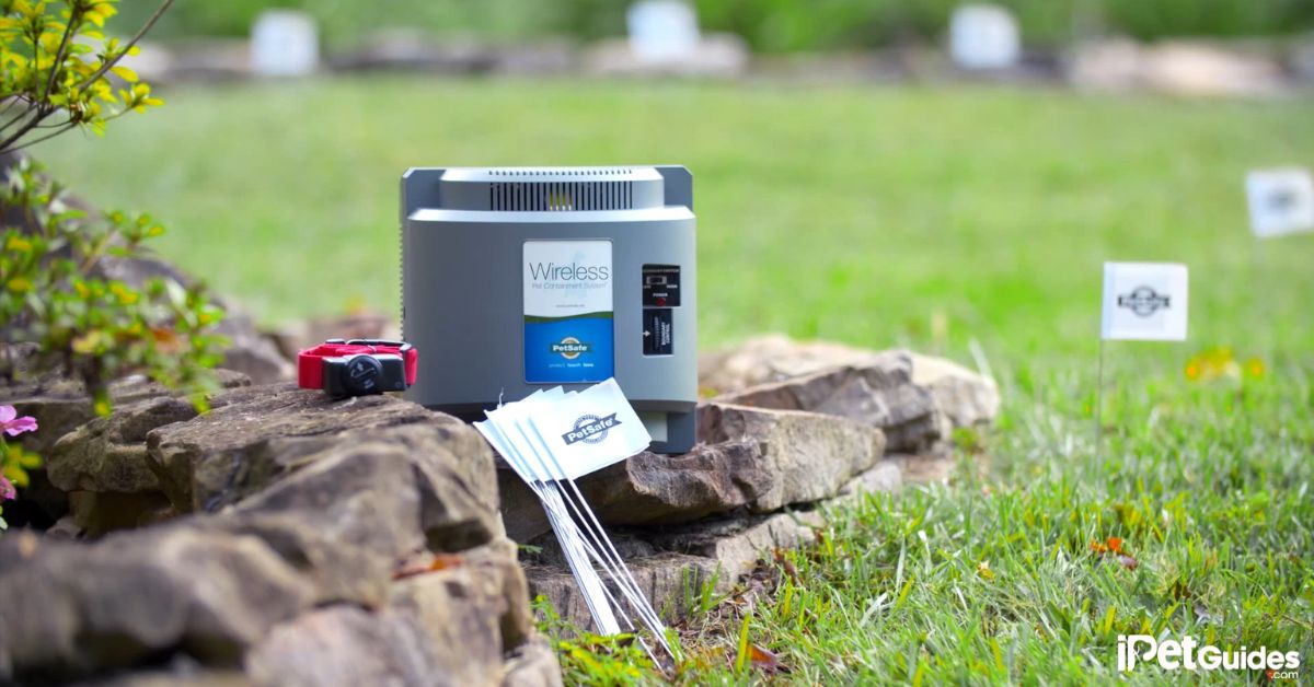 PetSafe Wireless Fence Not Working How to Troubleshoot?