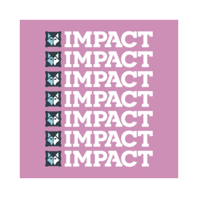 Impact Dog Crates Review (2024 Upd.) Are They Any Good?