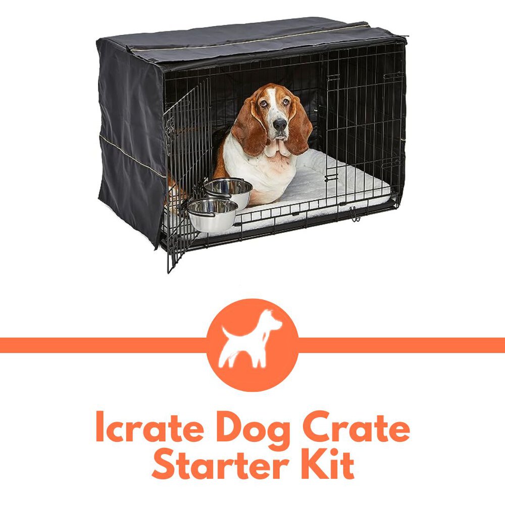5 Best Dog Crates for Golden Retrievers (Reviewed in 2023)