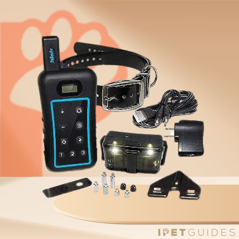 The 10 Best Shock Collar for Small Dogs (2023 Upd. Reviews)