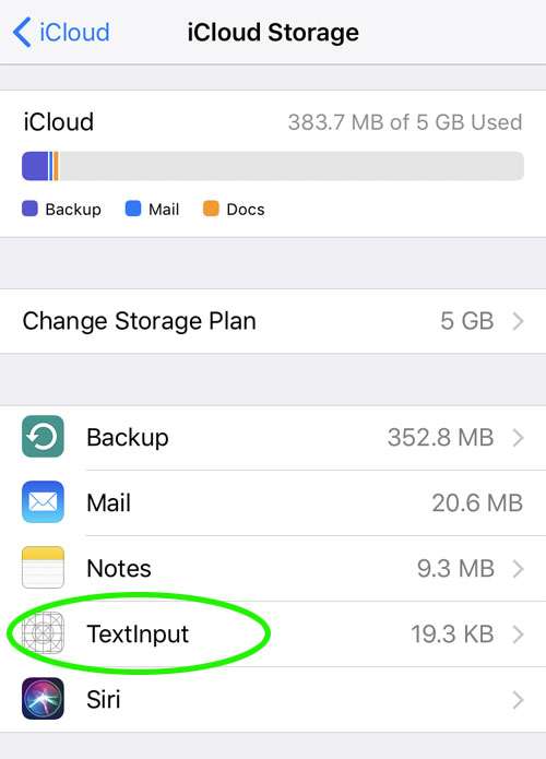 What is TextInput on iCloud storage? The iPhone FAQ What is TextInput on iCloud storage? The iPhone FAQ
