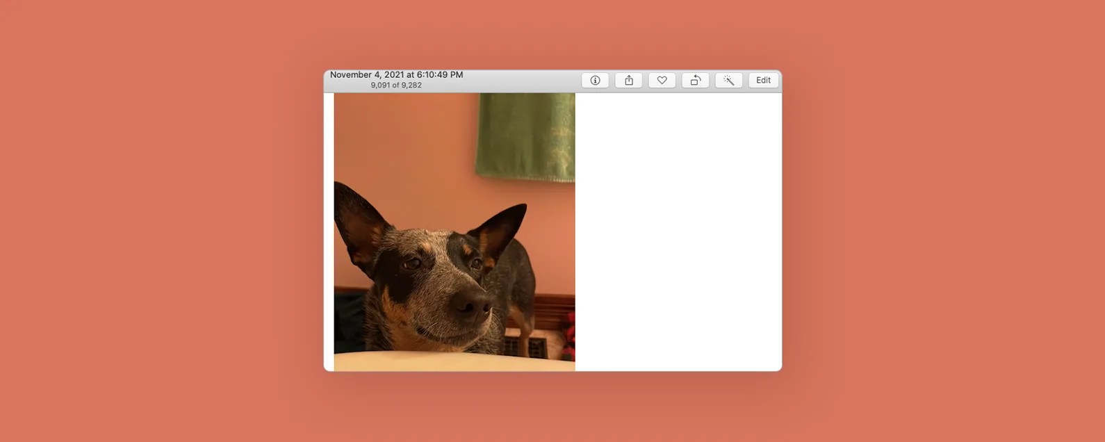 How to Put a Filter on a Photo or Video on Mac