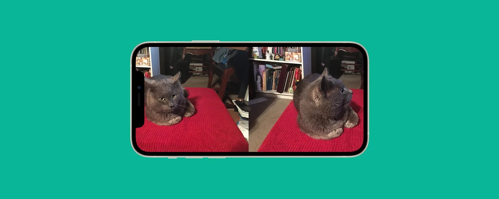 How to Put 2 Pictures SidebySide on iPhone