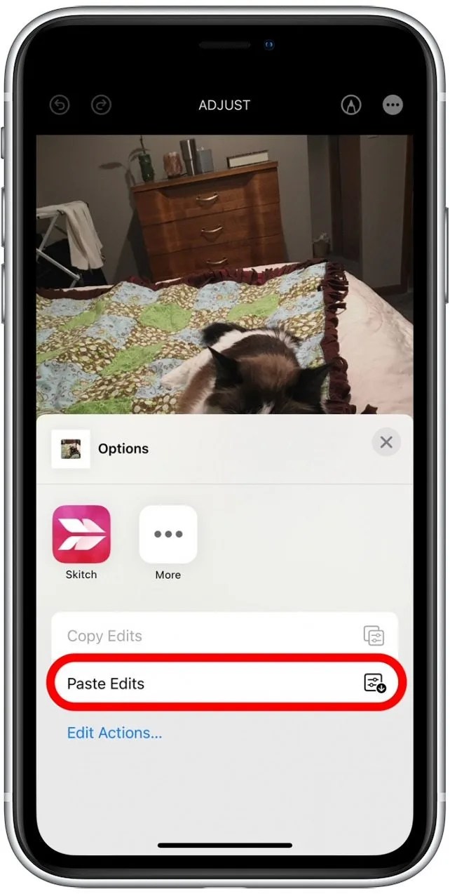 How to Copy & Paste Photo Edits on iPhone & iPad