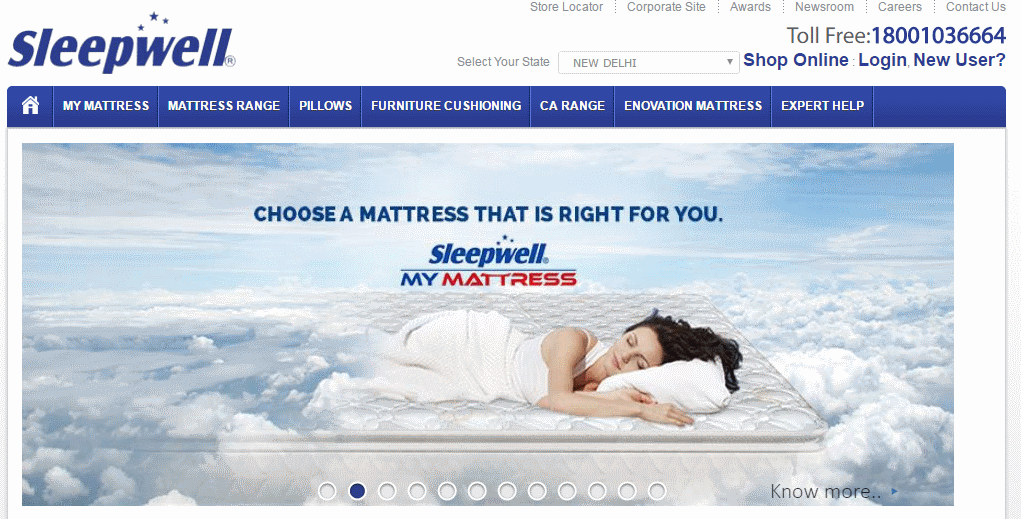 Sleepwell parent Sheela Foam looking to launch IPO in late November