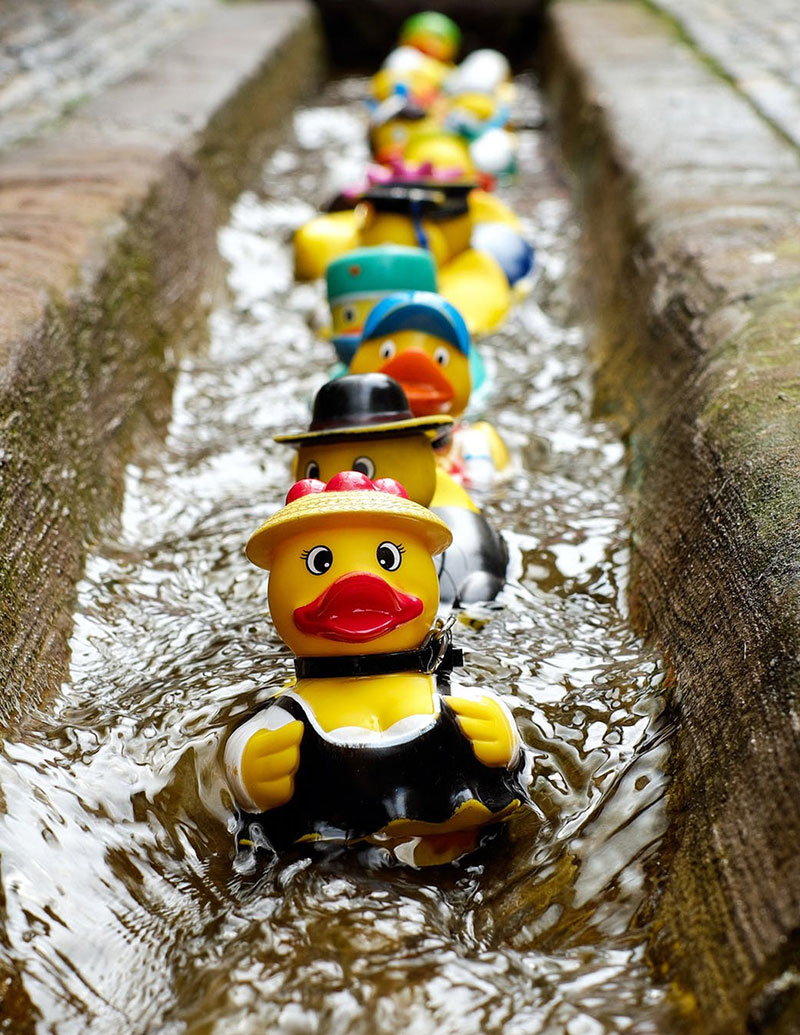 Make a Splash With Custom Rubber Ducks iPromo Blog