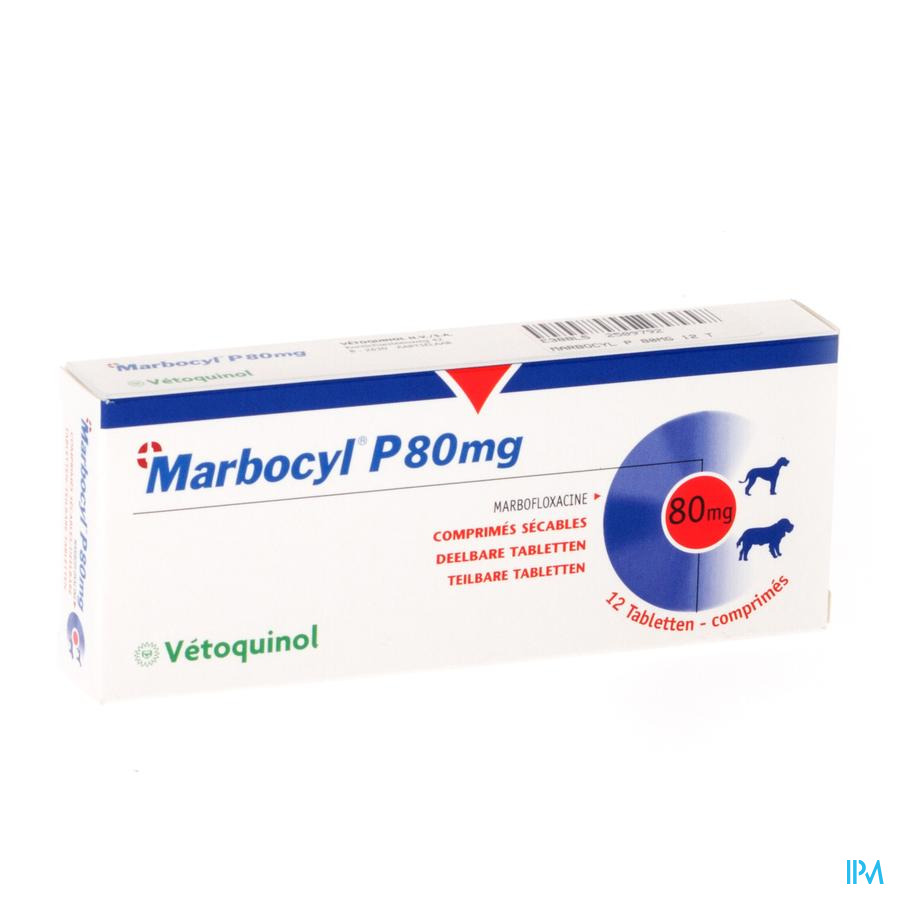 MARBOCYL P 5 MG/ 20MG/ 80 MG IPVET