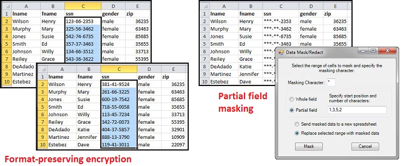 IRI CellShield, The Data Masking AddIn for Excel