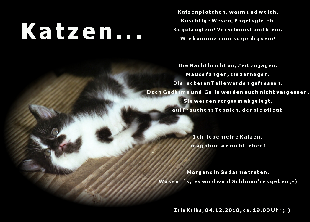 Neue Seite 2