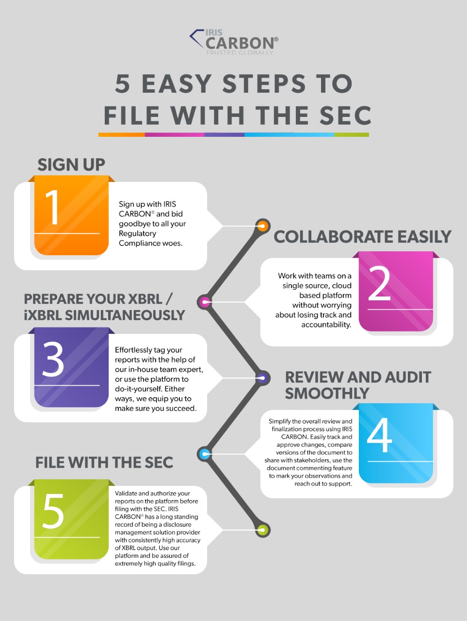 SEC iXBRL Reporting In 5 Easy Steps IRIS CARBON®