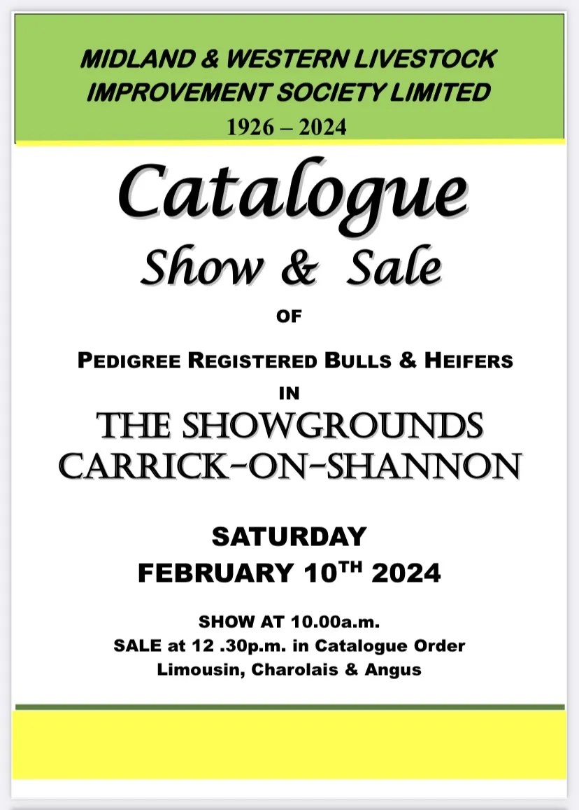  February Sale CarrickonShannon