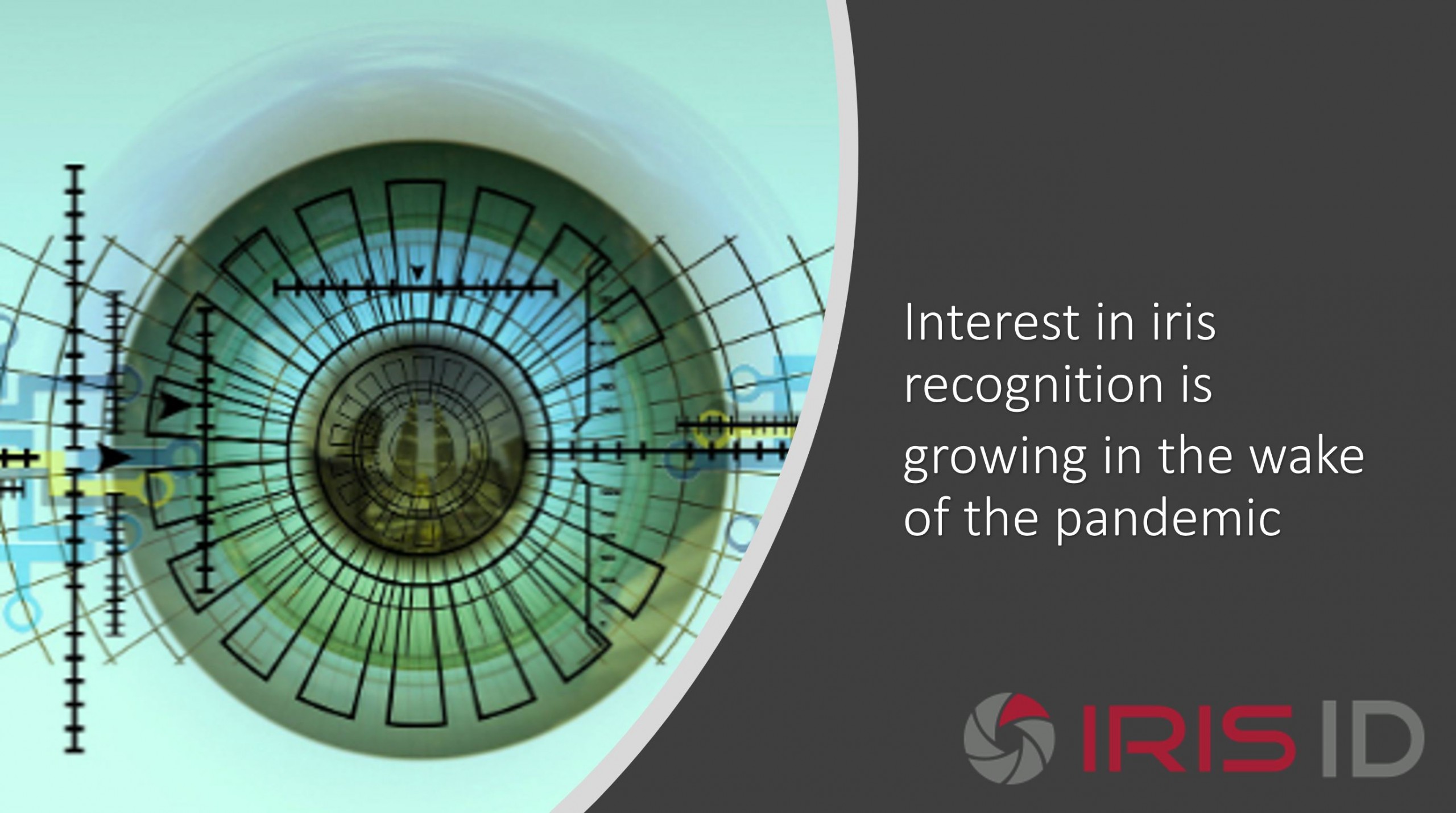 Survey recognizes growing excitement for iris biometrics Iris ID