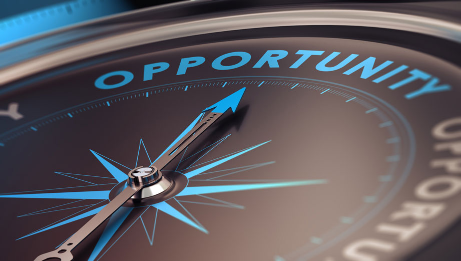 Opportunities and Threats IRIS Intelligence