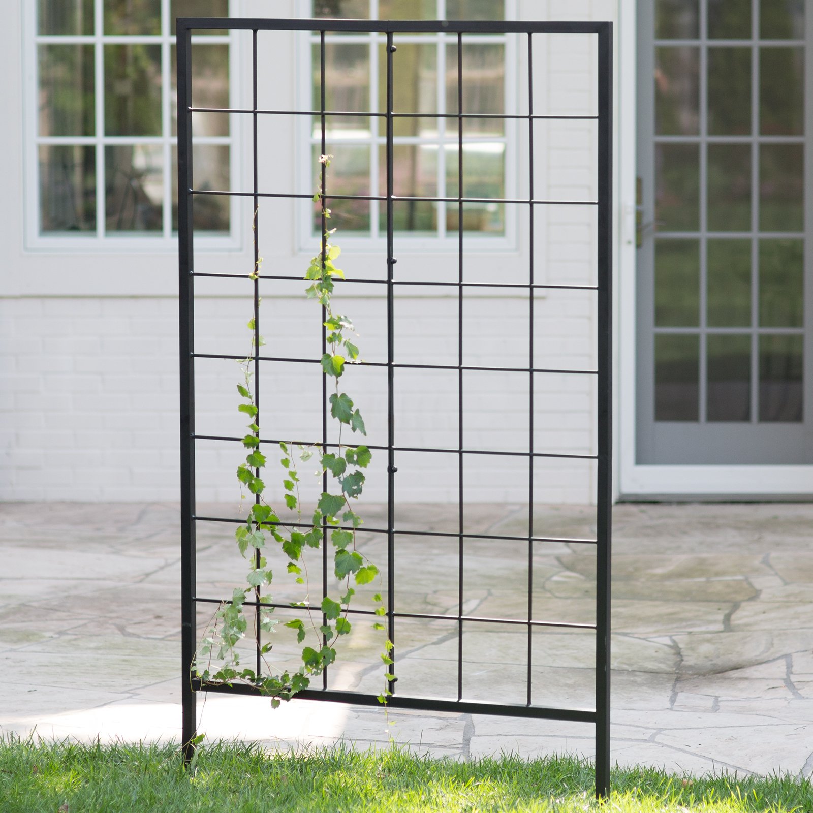 Trellises IRONMAN Pool Fence