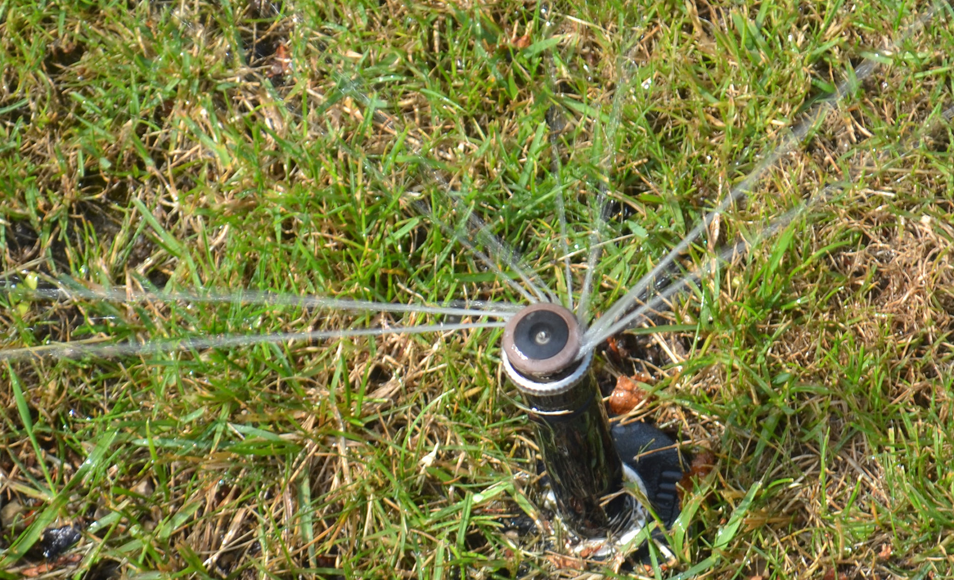 Top purchase sprinkler Hunter MP Rotator Irrigation