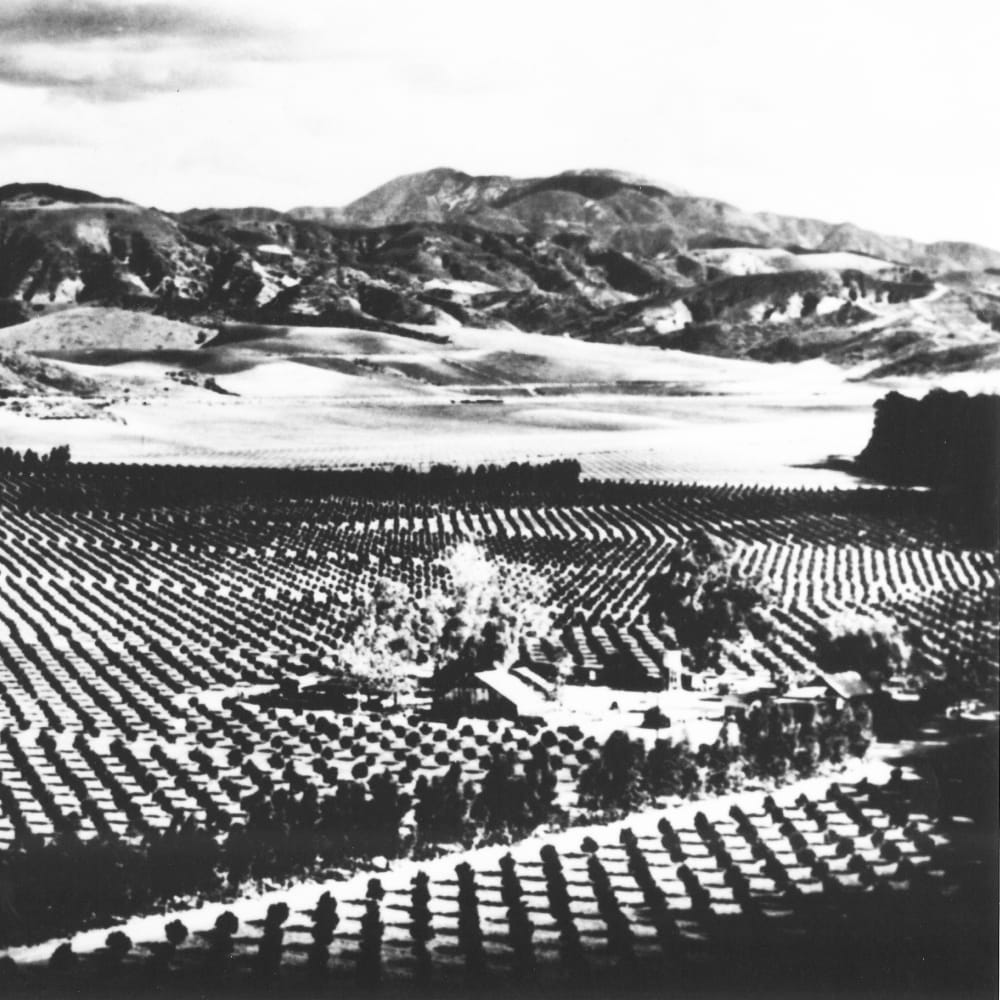 History The James Irvine Foundation