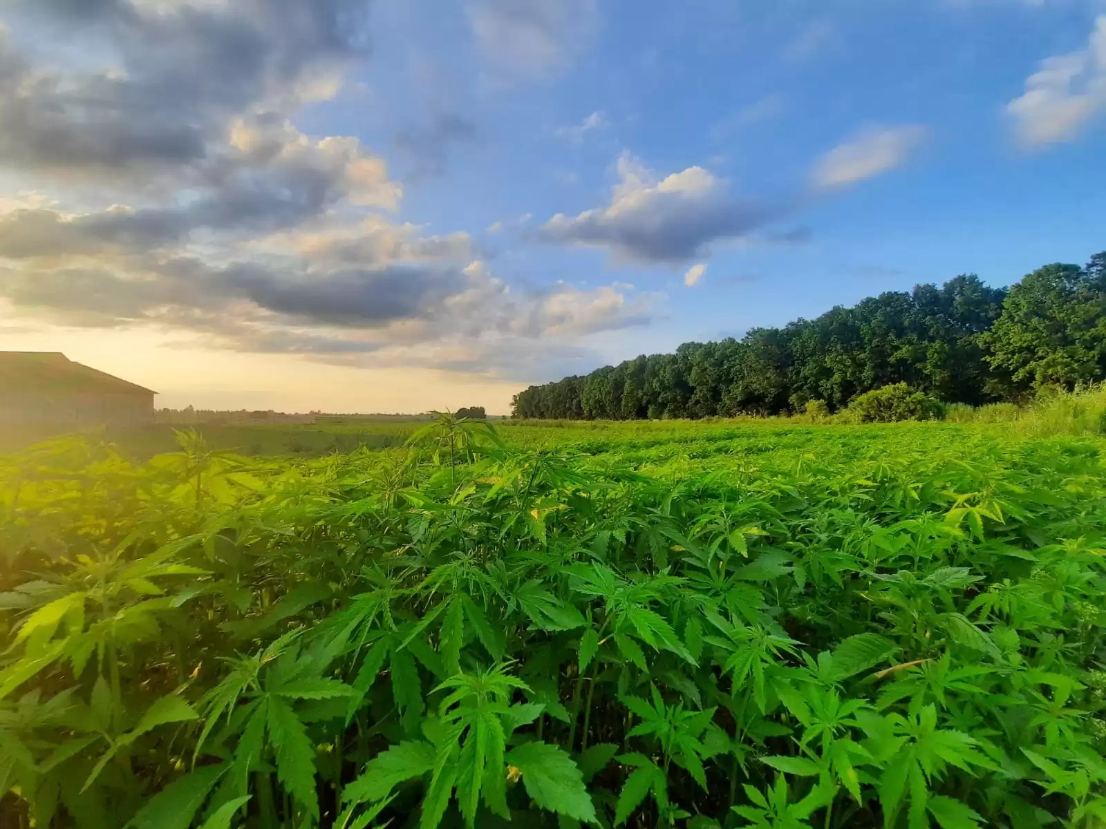 JR HOLDING inwestuje w technologie GREEN LANES ISBtech.pl