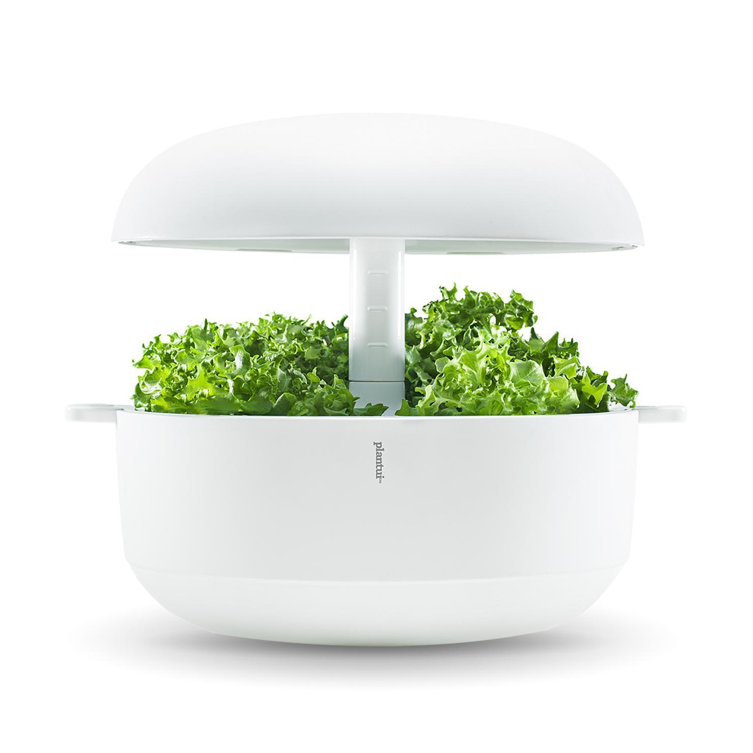 Plantui 6 Weiss Pflanzentopf Wohnen Innen online