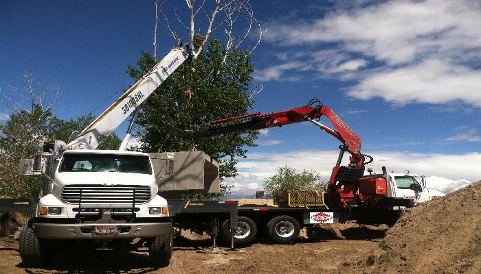 Crane Rental Services Idaho 2084655552