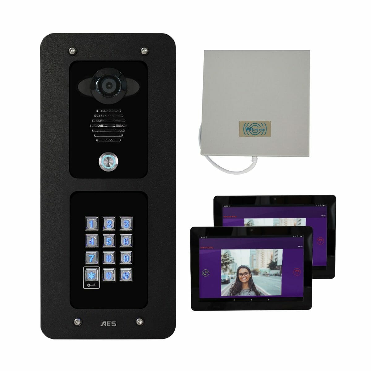 Praetorian IP Video System (Flush Arch) with Keypad and 2 Monitors
