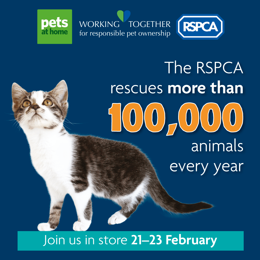 RSPCA TEAMS UP WITH PETS AT HOME TO RAISE AWARENESS OF ANIMAL CRUELTY