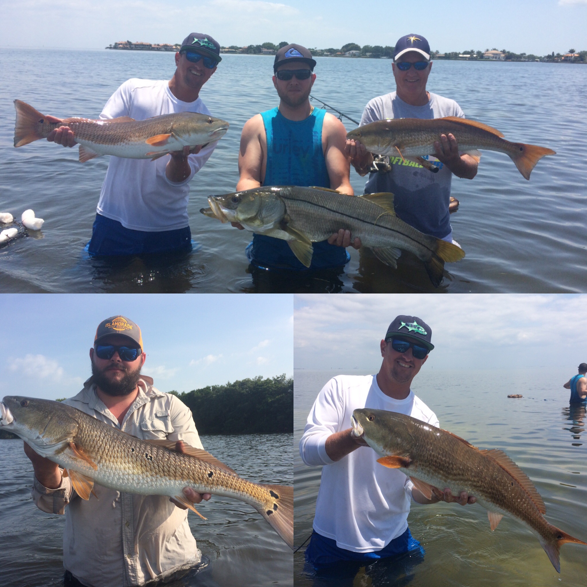 Tampa Bay Inshore Redfish, Snook, and Trout Slam Fishing Charters St