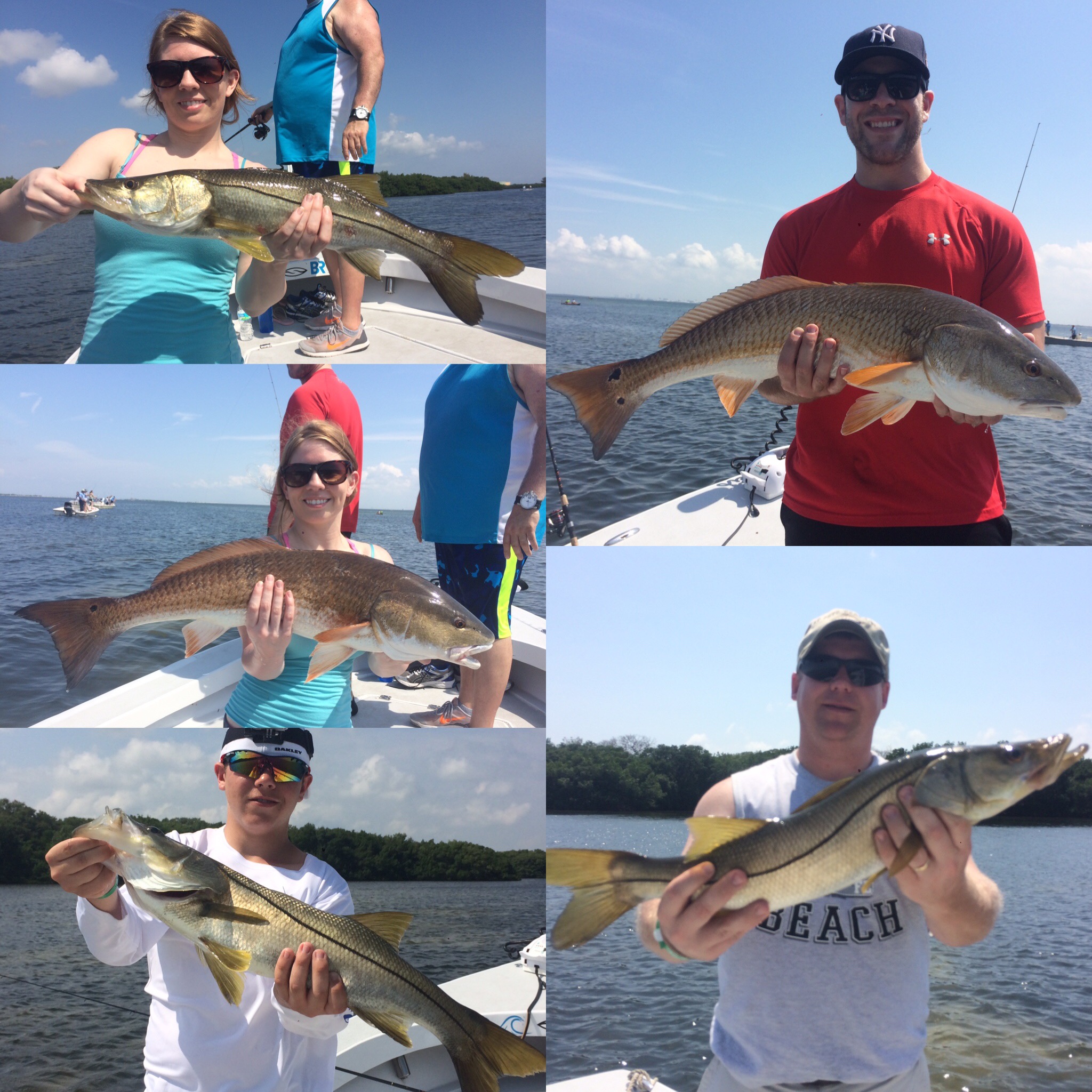 Tampa Bay Snook and Redfish Fishing Charters St. Pete Beach, Tampa Bay FL