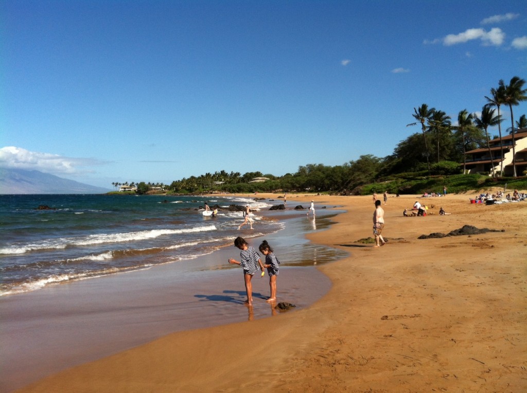 Maui Insights Chang's Beach