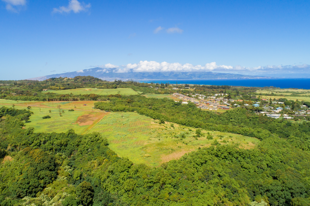 Build your Maui dream home on these stunning vacant lots