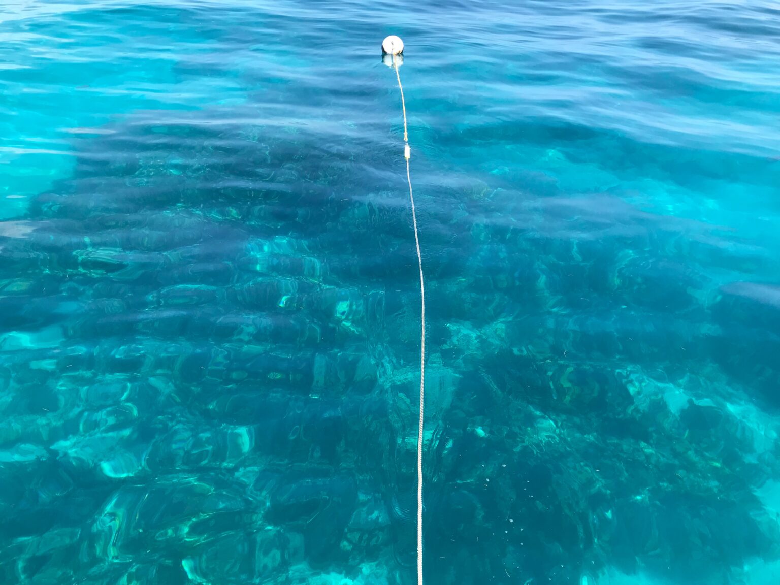 Sea Water temperature Key Largo for the best water adventure