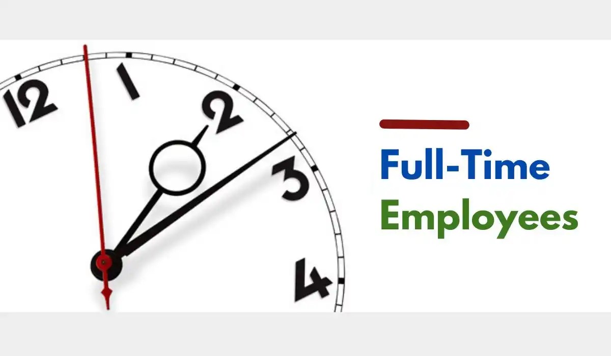 Understanding the Different Types of Employees in the Workplace