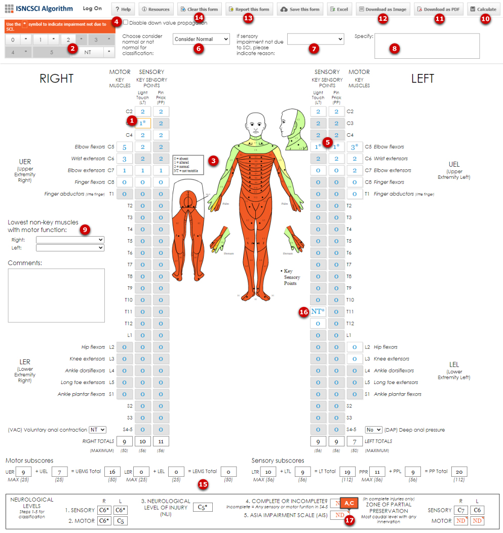 Learn how to use our web application's interface for scoring the ASIA