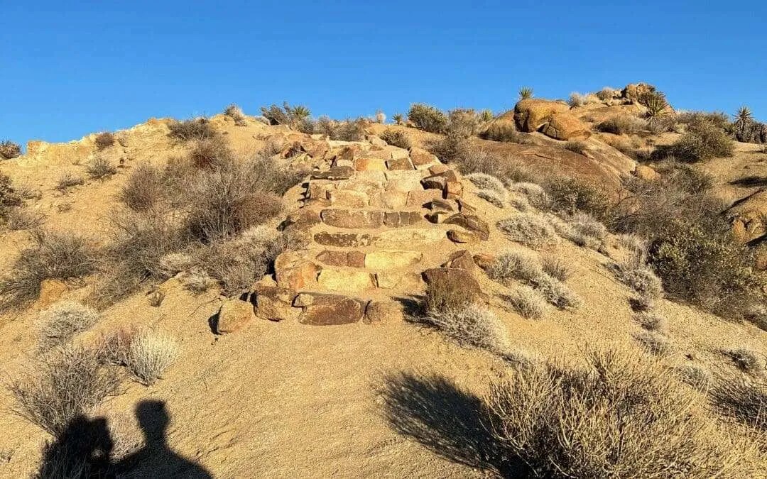 Day 3 PCH California road trip heading to Joshua Tree National Park